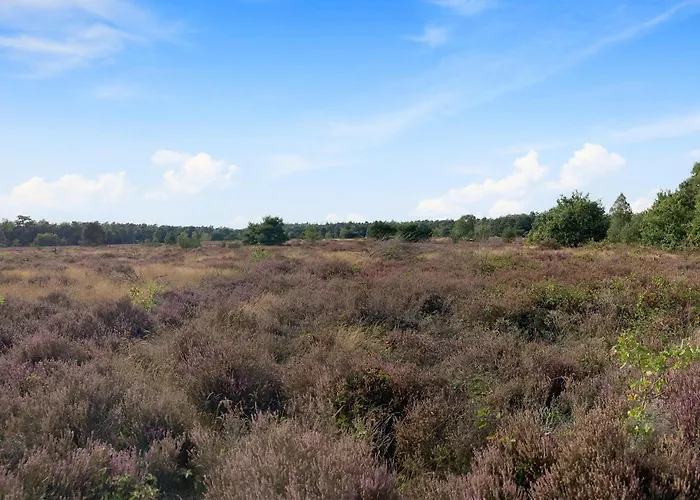 Amazing In Voorthuizen Semesterbostad Voorthuizen