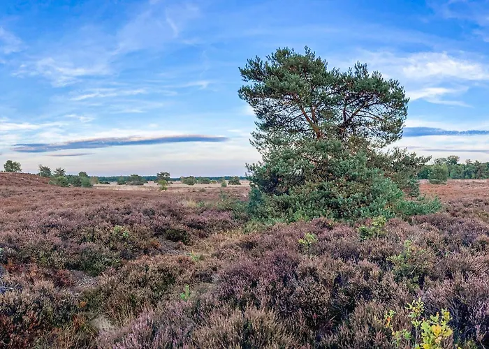 Semesterbostad Amazing In Voorthuizen Voorthuizen