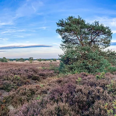 Сasa de vacaciones Amazing In Voorthuizen Putten